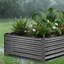 Raised Garden Bed