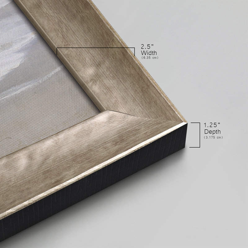 Sandpiper Bay " Sandpiper Bay ", 25" H x 45" W x 1.25" D, Grey Framed Canvas