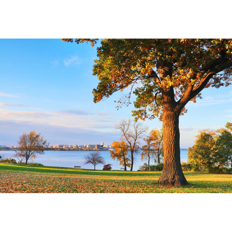 Heuer City Of Madison by UWMadison - Wrapped Canvas Print, 30cm H x 46cm W x 3.8cm D