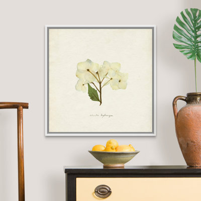 Cornales Hydrangea I par Emma Caroline - reproduction d'art