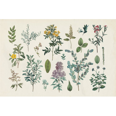 Victorian Garden IV - No Frame Painting on Canvas