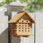 Faune ruche Mason