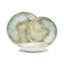 Service de table 12 pièces en porcelaine 12 pièces - Service pour 4