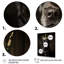 «Crowned Royal Labrador Dog I», art mural chien-157640468-157640484