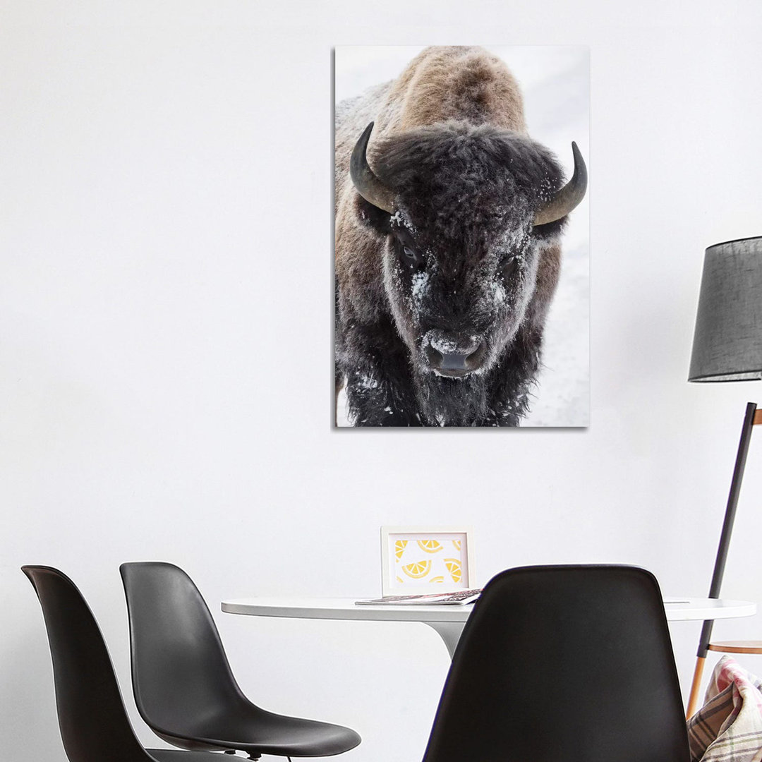 Bison, Yellowstone National Park by Ken Archer - Wrapped Canvas Art Prints