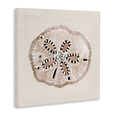 Taupe & Beige Sand Dollar Canvas, design by Lanie Loreth