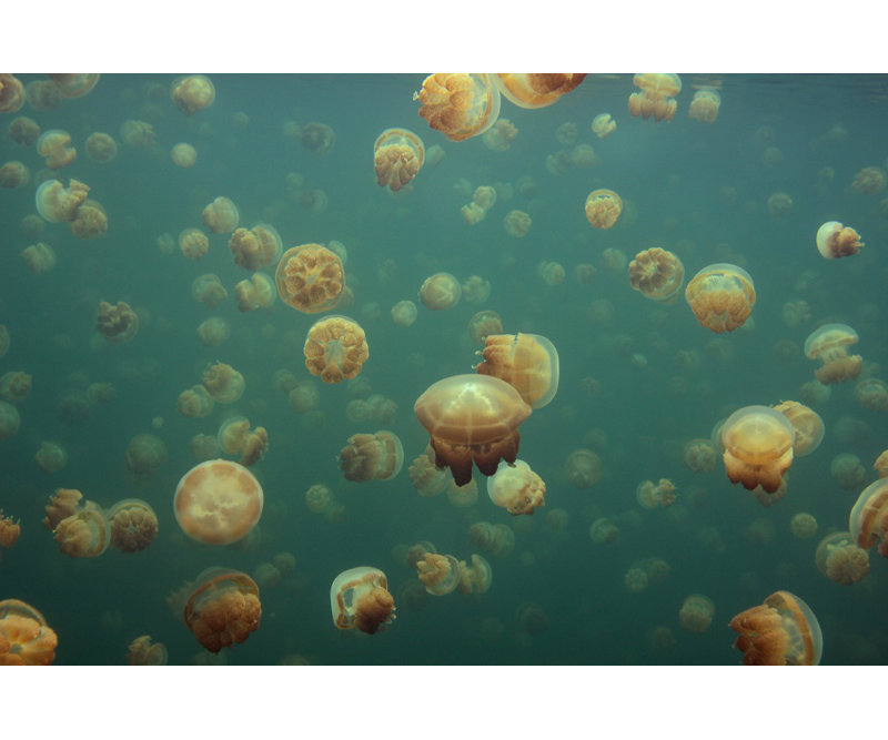 Wrapped Canvas Print, 121.92 cm H x 81.28 cm W