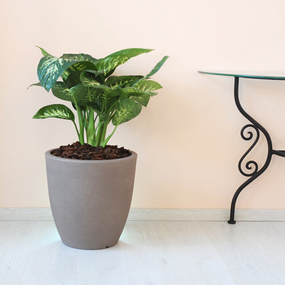 Grezzju Planter
