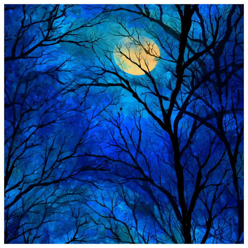 Rideau de douche Moonlit Trees, 70in W x 72in H