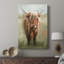 Happy Highlander - galerie sur mesure-706430810