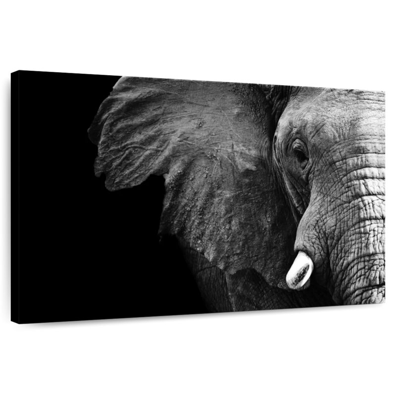 Wise Elephant, 8" H x 12" W