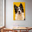 Border collie adorable Brampt-117580080