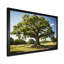 Trees Oak Majestic Oak II - Floral Wall Decor39-2134191496-2134191495