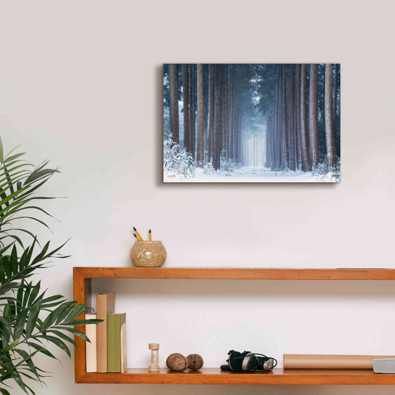 «Emzley Winter polaire sur toile» par Martin Podt, reproduction, H 12 po x l 18 po x P 0,75 po