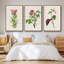 Jolies roses botaniques IV, ensemble de 3 toiles encadrées-97706585-97706591