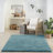 Solid Area Rug-1074892804