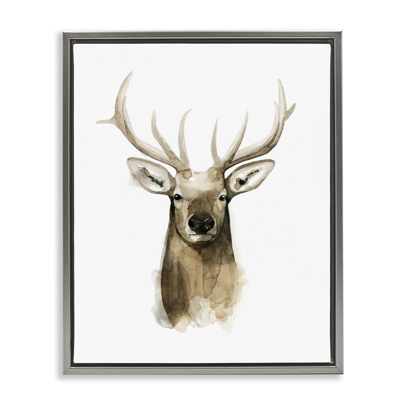 Portrait de cerf, aquarelle, H 25 po x l 31 po, Cadre flottant gris lustré