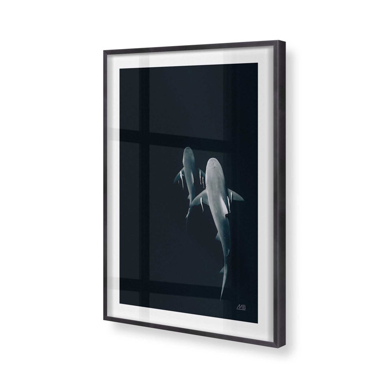 Serene Shark Shadows Print, Weathered Zinc, 11.25" H x 9.25" W
