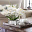 Arrangement in Vase-1208224273