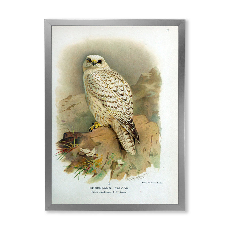«Vintage Bird Life VII», peinture sur toile, Cadre photo argenté, H 20 po x l 12 po x P 1po