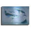 «Ocean Adventure Collection A» par Grace Popp-341035142