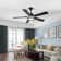 Ehrin 51.96'' Ceiling Fan with LED Lights