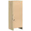 Shanerica Accent Cabinet-588309485