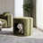 Pet Friendly Ottoman with Removable Pet Cushion