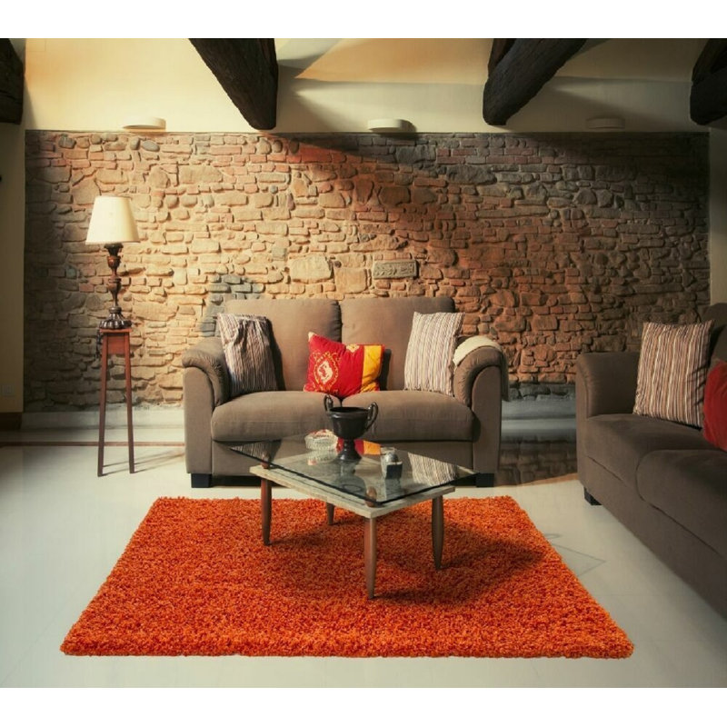 Aanuoluwa Shag 80cm X 150cm Area Rug, Rectangle 80 x 150 cm