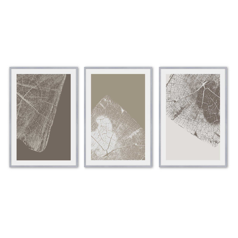 Ensemble de 3 gravures Timeless Grains, Cadre en chrome poli, H 17,5 po x l 25,5 po x P 1,25 po