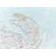Castres Animal Print Blue Square Throw Cushion