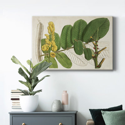 " Tropical Foliage And Fruit II "