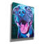 «Pit Bull - Bleu ciel» par Dawg Painter-1947271972