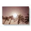Palm Trees In The Evening In Abstract - Wrapped Canvas-55339450