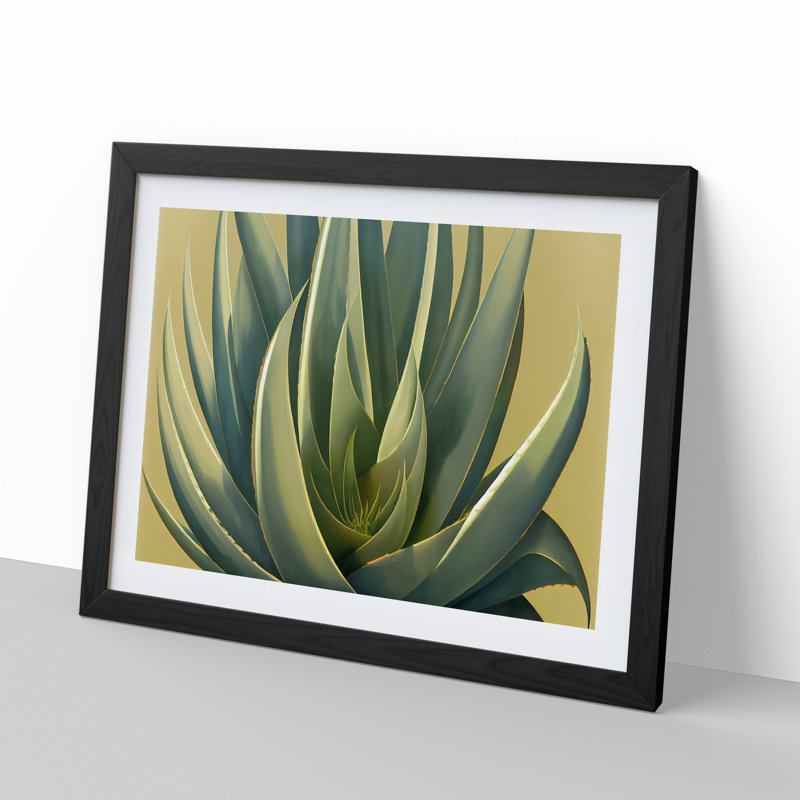 Lush Aloe Vera Plant - Single Picture Frame Print, Black, 46cm H x 64cm W x 2cm D