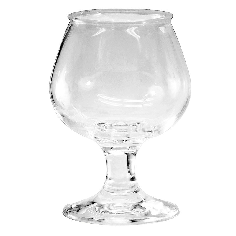 Gahanna 5 oz. Acrylic Goblet Set
