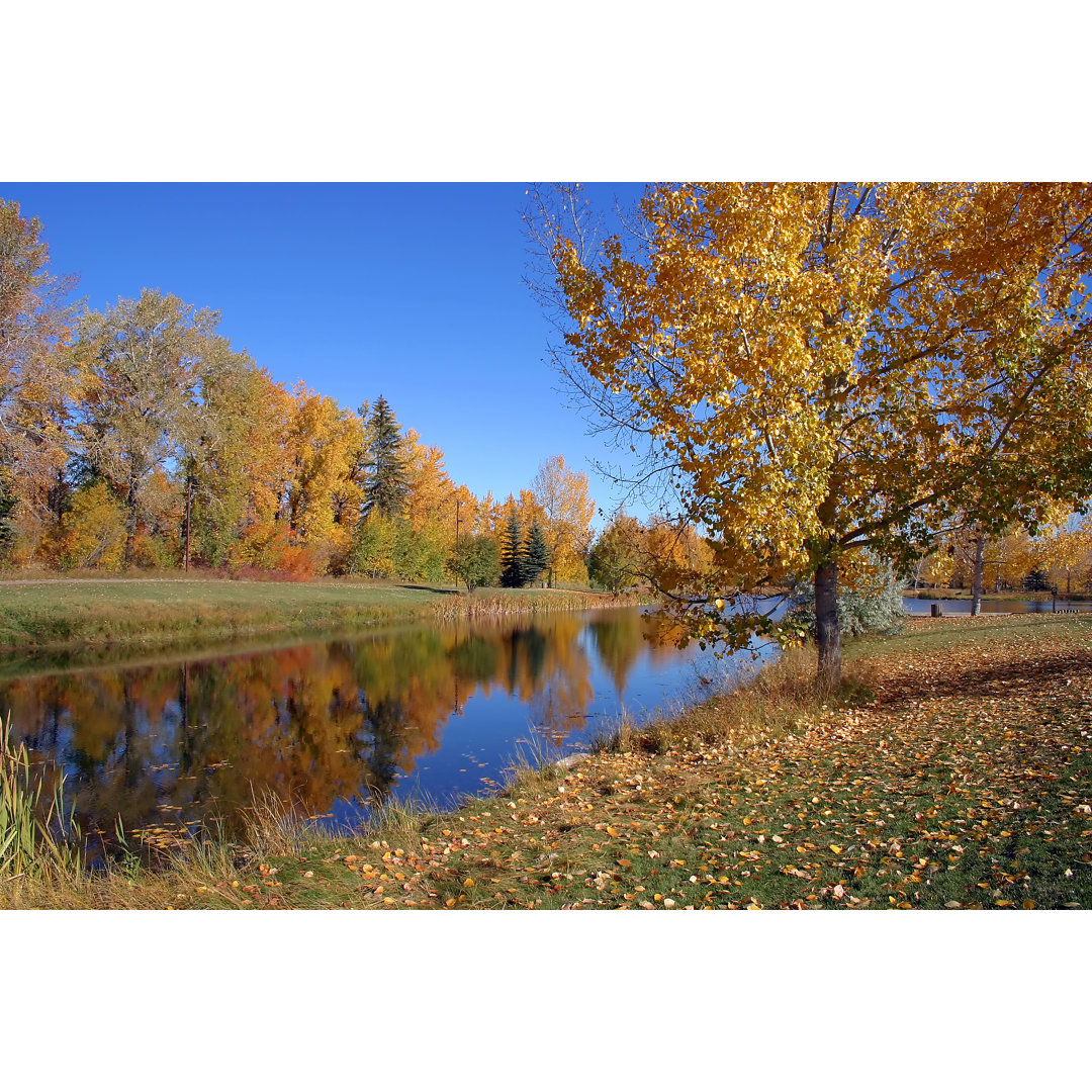 Herbst von Sundown - Leinwandbild