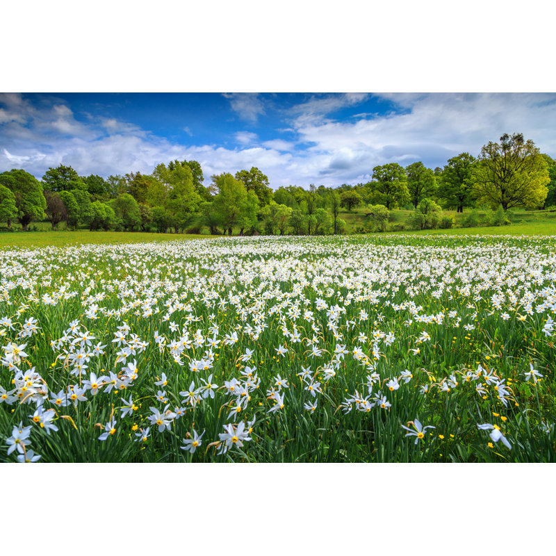 Amazing Spring Landscape by Janoka82 - Wrapped Canvas Print, 30cm H x 46cm W