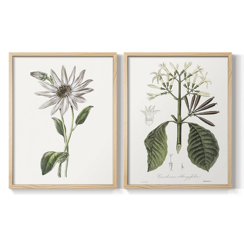 Tropical Botanical III - reproduction encadrée de qualité supérieure - prête à être accrochée - aucun clou requis - aucun clou requis