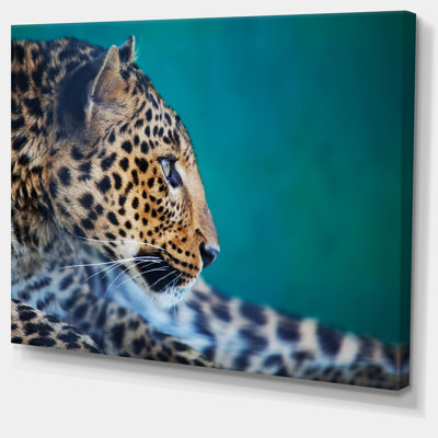 « vigilance leopard », impression