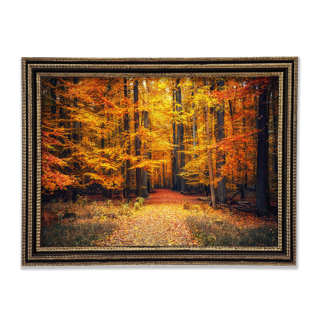 Orange Woods In The Autumn - Einzelne Bilderrahmen Kunstdrucke