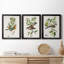 Oiseau antique, botanique et œuf I - ensemble de 3 peintures sur toile encadrées-1128397845-1128397842