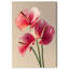Crimson Silk Veins I Floral & Botanical Canvas Print by Oliver Gal, Black Frame, 10 x 15-2073649417-2073649459