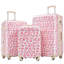 Valise à roulettes 3 pièces Hardshell avec valise TSA