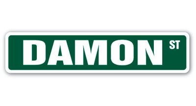 Damon Street Sign Heavy Duty Plastic 4" X 18"