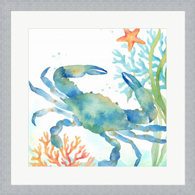 " Sea Life Serenade II " by Cynthia Coulter Painting Print