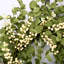 24" Handcrafted Faux Eucalyptus Berry Wreath for Front Door-1297859583