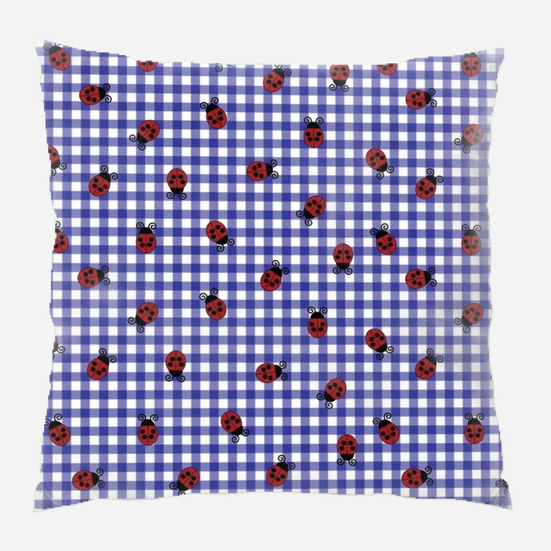 Coussin décoratif, Intérieur