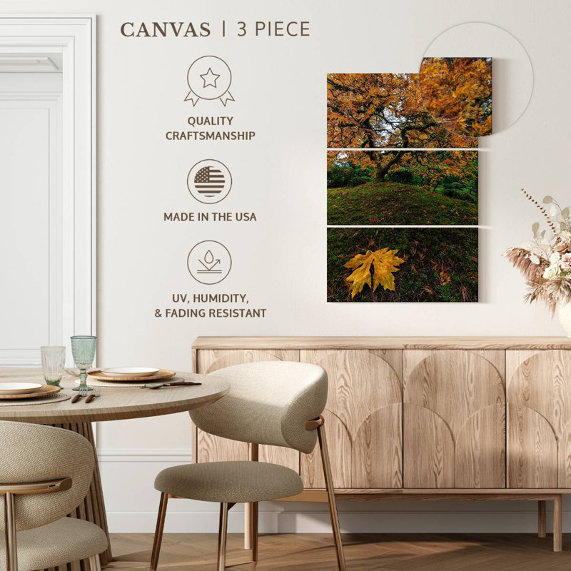 Harnek Japanese Maple Tree Autumn