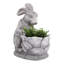 Pot à fleurs d'extérieur moderne en polyrésine de style lapin pour décoration intérieure - Pot de fleurs d'intérieur pour le salon et le patio - 16 po, gris